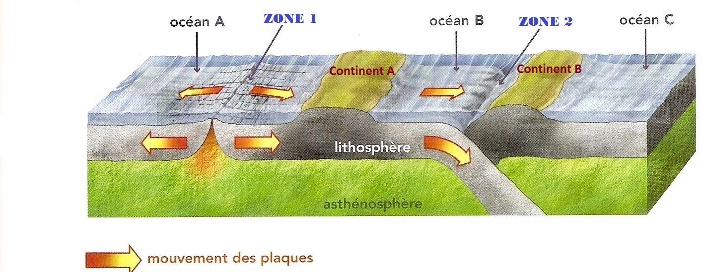 Bilan mouvement questions